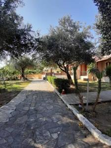 A garden outside Kalypso studio Resorts