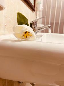 マツァーラ・デル・ヴァッロにあるKasbah San Francescoの白いバスルームの洗面台(花付)