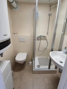 Un baño con ducha, inodoro y lavabo. en LA CASITA, en Düren - Eifel
