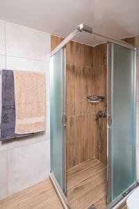 La salle de bains est pourvue d'une douche avec une porte en verre. dans l'établissement Garconniere Sonja, à Pitsidia