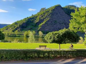 a person riding a bike next to a tree and a bench at Haus Mosella in Cochem
