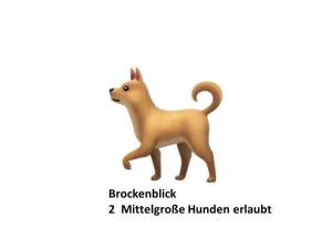 a toy dog with the words brockfield micheleflukered human at Schloss Stiege in Stiege