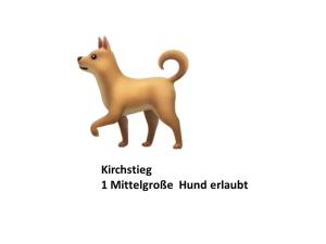 a toy dog with the words attacking i multiplexer hound earthquake at Schloss Stiege in Stiege