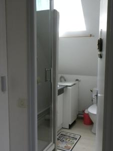 une salle de bain avec douche, lavabo et toilettes dans l'établissement LE CENTRAL studio mezzanine, à Cauterets