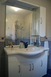 bagno con lavandino e grande specchio di Apartment Lynx a Korenica
