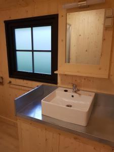 een badkamer met een witte wastafel en een spiegel bij Camping Le Mouliat in Moncrabeau