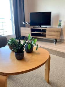 a living room with a coffee table with plants on it at Beach View Five in Blankenberge