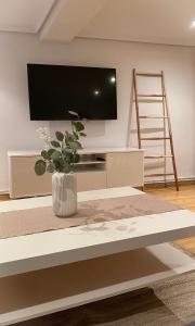 a living room with a television and a vase with a plant at Puro encanto II en el corazón de Santo Domingo in Santo Domingo de la Calzada