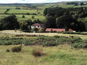a house in the middle of a field at The Burnside in Edmondbyers
