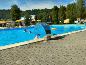 un groupe de personnes dans une piscine dans l'établissement Pension Aquaris, à Sighişoara