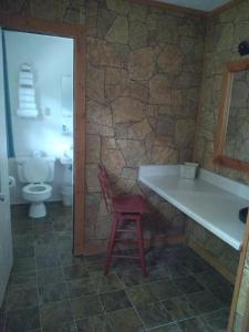 a bathroom with a toilet and a red stool at Stony Creek Motel in Maggie Valley