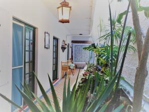 a hallway with plants in a house at BayView House in Angra do Heroísmo