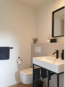 een badkamer met een witte wastafel en een toilet bij B&B Antares in Brugge