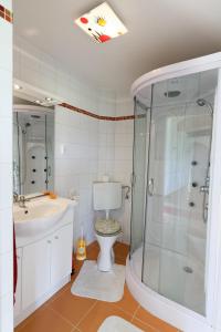 uma casa de banho com um WC, um lavatório e um chuveiro em Idylisches Ferienhaus komplett im Grünen mit direkter Anbindung an den Thayatalradweg em Vestennötting