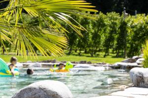 een groep mensen die in een zwembad zwemmen bij Kreuzwegerhof Nals - Historic Nature Stay with Pool near Meran & Bozen in Nalles