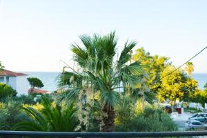 Gambar di galeri bagi Paradise Beach Apartments di Argasi +3 gambar
