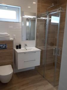 a bathroom with a shower and a sink and a toilet at Mazoji vila in Birštonas