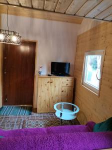 ein Wohnzimmer mit einem lila Sofa und einem Fenster in der Unterkunft Apartament Wolin nad wodą koło Miedzyzrdrojów in Wolin