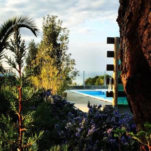 - une vue sur la piscine depuis le jardin dans l'établissement Silver Coast Vacation - Your Unique Inn, à Lourinhã