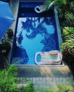 a painting of a dragon on the side of a pool at Hotel Boutique Casona Maya Mexicana in Tapachula