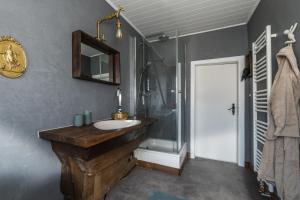 ein Bad mit einem Waschbecken, einer Dusche und einem Spiegel in der Unterkunft Storchennest Sankt Annen in Annaberg-Buchholz