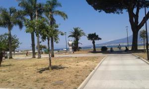 a park with palm trees and a sidewalk next to the beach at Dimora Stabiae in Castellammare di Stabia