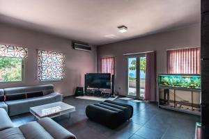 Livadi的住宿－Villa Iris，带沙发和平面电视的客厅