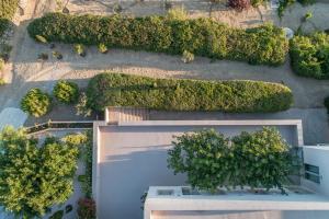 an overhead view of a garden with trees and bushes at Villa Iris in Livadi