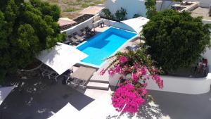an overhead view of a swimming pool with chairs and flowers at Villa LuxL in Fira