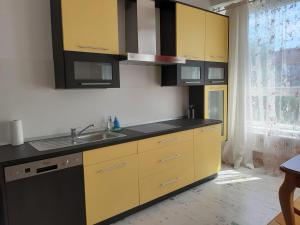 Kuchyňa alebo kuchynka v ubytovaní Žlutý apartmán A6 v Chomutově