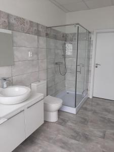 uma casa de banho com um chuveiro, um WC e um lavatório. em Žlutý apartmán A6 v Chomutově em Chomutov