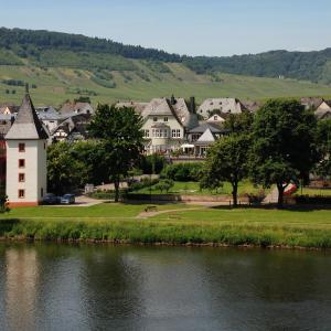 una casa grande junto a un cuerpo de agua en Gästehaus & Weingut Clüsserath-Weiler en Trittenheim