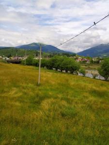 a field of green grass with a telephone pole at Котедж Shalet in Kolochava