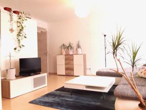 a living room with a tv and potted plants at Traumapartment Pöstlingberg, reservierter Parkplatz, 4 Schlafzimmer in Linz