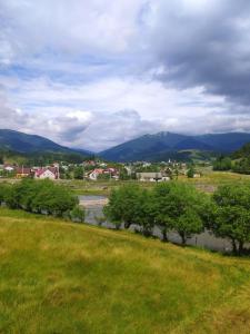 a river in a field with trees and mountains at Котедж Shalet in Kolochava