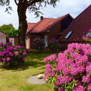 a house with pink flowers in the yard at Ferienwohnung Albers in Blomberg