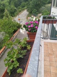 Vonkajšia záhrada v ubytovaní Anthony House
