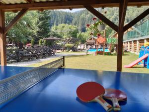 a ping pong table at a playground with a slide at Villa Provans in Tatariv