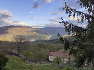 Foto dalla galleria di Casa Eva a Longoio