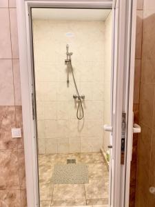 een douche in een badkamer met een glazen deur bij Мини-гостиница Три Коня in Pereiaslav-Khmelnytskyi