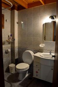 a bathroom with a toilet and a sink and a mirror at Holiday Home Las Retamas in San Martín de los Andes +24 photos