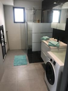 La salle de bains est pourvue d'un lave-linge et d'une douche. dans l'établissement Jolie Maisonnette Studio, à Saint-Herblain