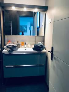 uma casa de banho com um lavatório azul e um espelho. em Jolie Maisonnette Studio em Saint-Herblain