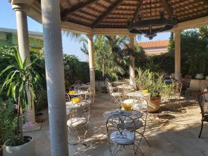 Zahrada ubytování Rooms and apartments PALMA B&B