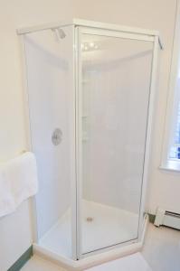 een douche met een glazen deur in de badkamer bij Brown & Hawkins Historical Apartments in Seward