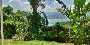 a view of the ocean from a jungle at Oré Suítes e Chalés in Ubatuba