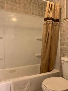 uma casa de banho com um WC e uma cortina de chuveiro em St. Mary’s Motel 
