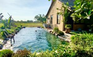a swimming pool in front of a house at May Homestay - Tam Coc Local Village in Ninh Binh