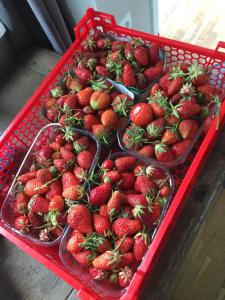 a red basket filled with strawberries on a table at La Niche in Richebourg