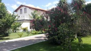 a house with a bush with pink flowers in front of it at Guest House Di Bartolomeo in Capaccio-Paestum